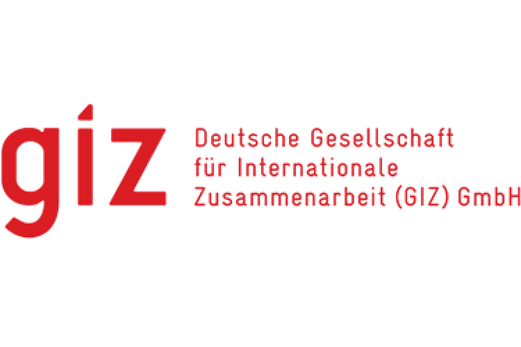 https://www.giz.de/en/worldwide/341.html